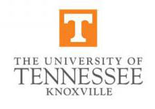 Tennessee Logo